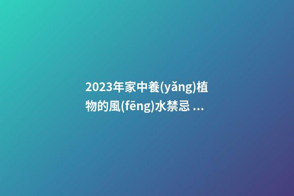 2023年家中養(yǎng)植物的風(fēng)水禁忌，最后一點(diǎn)很多人忽略了